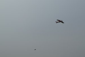 DSC02731
